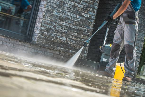 Best Driveway Cleaning and Restoration in Shenandoah, IA