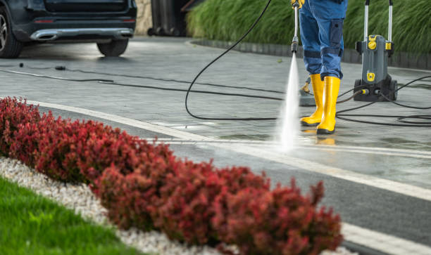 Best Soft Washing for Delicate Surfaces in Shenandoah, IA